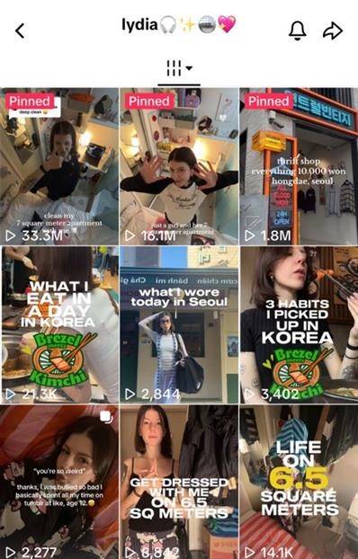 A screenshot of Lydia Rouka's TikTok page. One of Rouka's videos featuring gosiwon (small, affordable single-room housing) has garnered over 33.3 million views as of Oct. 28. [SCREEN CAPTURE]