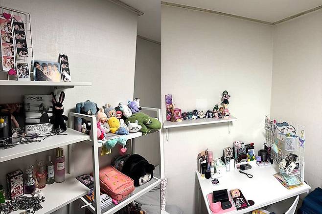 Plushies and action figures are displayed at Mariia Hrabovska's gosiwon (small, affordable single-room housing) room [MARIIA HRABOVSKA]