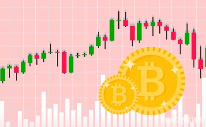 쿠키뉴스 자료사진