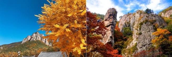 주왕산 주왕계곡길[국립공원공단 제공]