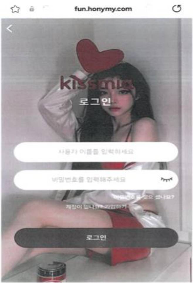 로맨스스캠 화면 캡처. 충남경찰청 제공