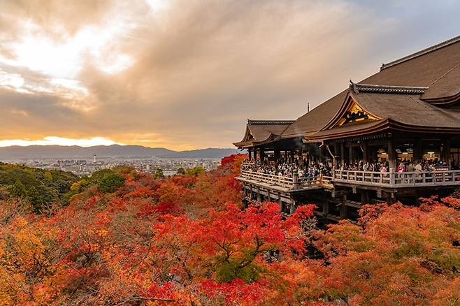 일본 교토 / 사진= 스카이스캐너 제공