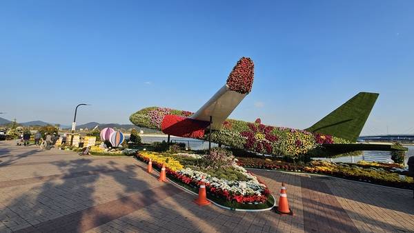 29일 마산 국화축제장 모습. /독자 제공