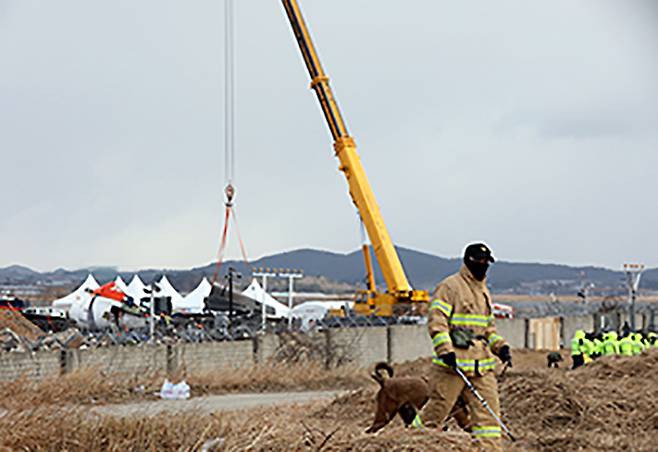 12·29여객기참사현장에서 담당자들이 잔해를 정리하고 있다. (ⓒ뉴스1, 무단 전재-재배포 금지)