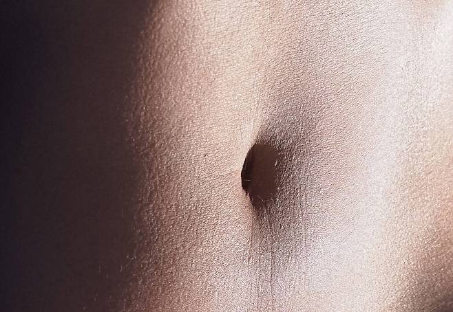 배꼽도 흉터의 일종이지만 일반 흉터와 달리 형태가 변하지 않는다. 배꼽 모양을 평생 유지시켜주는 배꼽 아래의 원통형 조직이 발견됐다. 위키미디어 코먼스