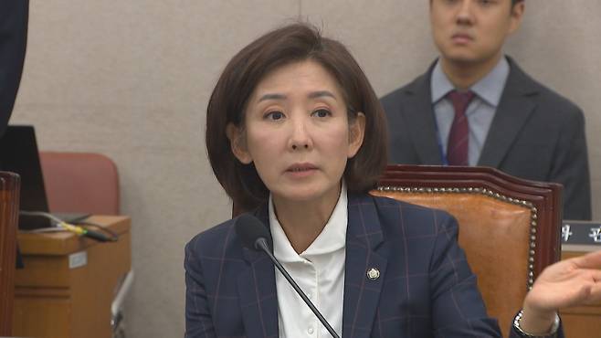 나경원 국민의힘 의원