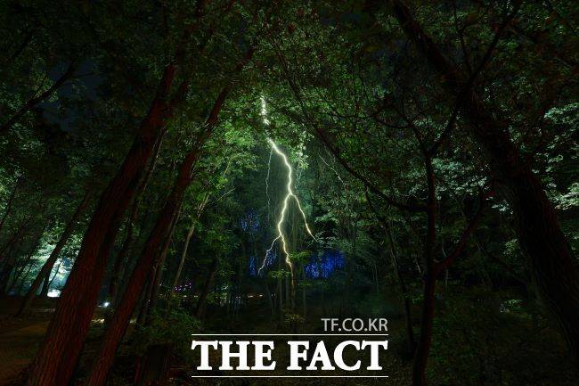 레이저로 실감나게 구현된 천둥 구간 전경. /부천시