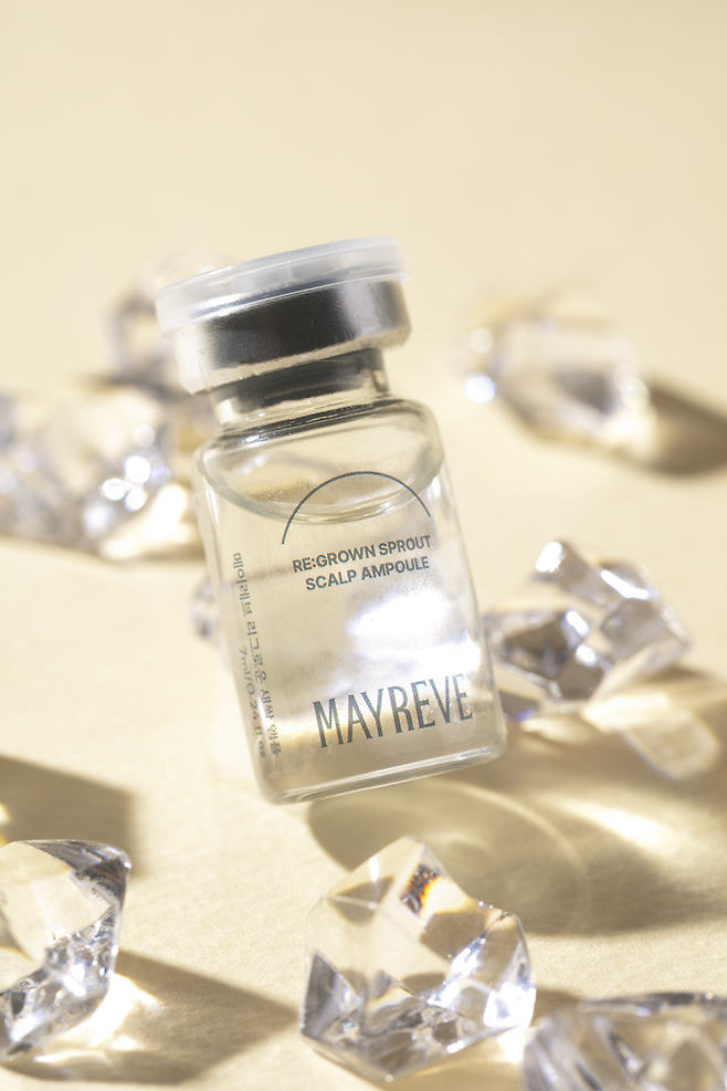 “속부터 젊어진다” 메이레브, 저속노화 루틴으로 한일축제 한마당 현장 사로잡다 (제공: 와이컴퍼니/메이레브 (MAYREVE))