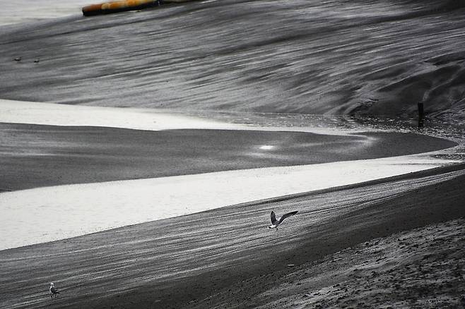 이병륜 작가의 사진 작품. ‘정적 속의 비상’