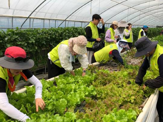 농협 도농협동 도시민체험단 / 사진 = 농협중앙회