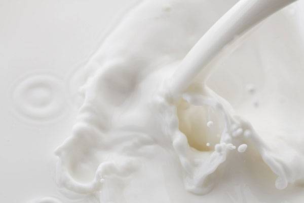 밥을 지을 때 물 대신 일부 우유를 넣으면 밥의 식감과 풍미가 개선되고, 영양소도 풍부해진다./사진=클립아트코리아