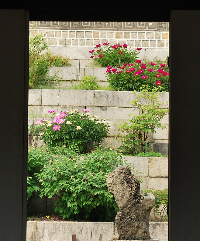 낙선재의 화계와 괴석. 신지선 제공