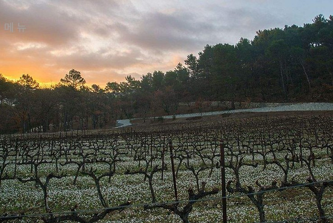 아이 웨이웨이 [Ruyi Path] ©Château La Coste