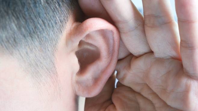 CPD 유전자 이상이 아르기닌 대사를 방해해 청력 손실을 유발한다는 연구 결과가 나왔다｜출처: 클립아트코리아