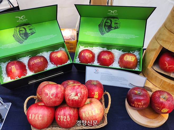 경주 APEC 국제미디어센터 부근에서 운영된 ‘K-푸드 스테이션’에서 경북도 농업기술원이 선보인 사과. 강정의 기자