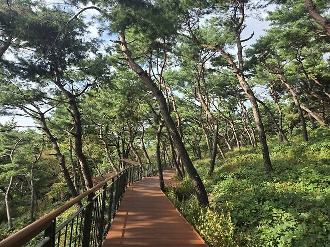 남산하늘숲길 [서울시 제공. 재판매 및 DB 금지]