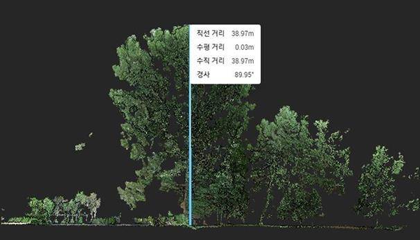 산림청 국립산림과학원은 서울 홍릉숲에 있는 수령 50년 된 노블포플러 나무 높이 측정 결과 38.97m로 확인됐다고 3일 밝혔다. 이는 국내에서 가장 큰 나무인 경기 양평 용문사 은행나무(38.8m)보다 17cm 더 큰 수치다. 사진은 자율주행체센서(LiDAR)장비로 높이를 잰 모습. 산림과학원 제공