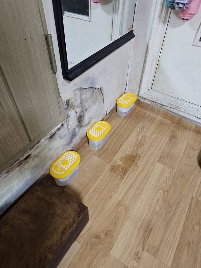 김성희(가명)씨의 서울 성동구 반지하 주택은 습도가 높아 곰팡이가 많이 생긴다. 제습제를 집안 곳곳에 수십 개씩 놓아둔다. 채윤태 기자