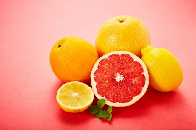 오렌지, 유자 등 감귤류 과일. 아이클릭아트