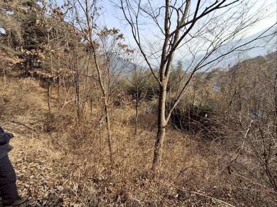 터에서 북동쪽으로 보이는 금대산(金臺山) 사진. 삼각형의 산이다. 그 상층부에 금대암과 안국사가 있다. 상량문에서 말한, 북쪽에 있는 마하 대법왕과 진불국(眞佛國)은 바로 금대산, 금대암, 안국사를 가리키는 것으로 본다. 금대란 법신불인 마하대법왕이 앉으신 금빛의 연화대(蓮花臺)를 말하므로 금대산 일대는 진불국인 셈이다. 안국사의 안국(安國)은 안락한 부처의 나라를 가리킨다