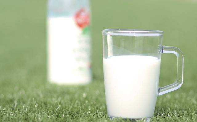 하루 한두 잔의 우유를 꾸준히 섭취하는 것은 건강에 도움이 된다.