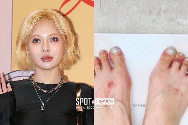 ▲ 현아(왼쪽), 현아가 공개한 사진. ⓒ곽혜미 기자, 현아 SNS