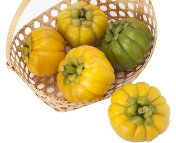 가르시니아 열매. 사진=클립아트코리아