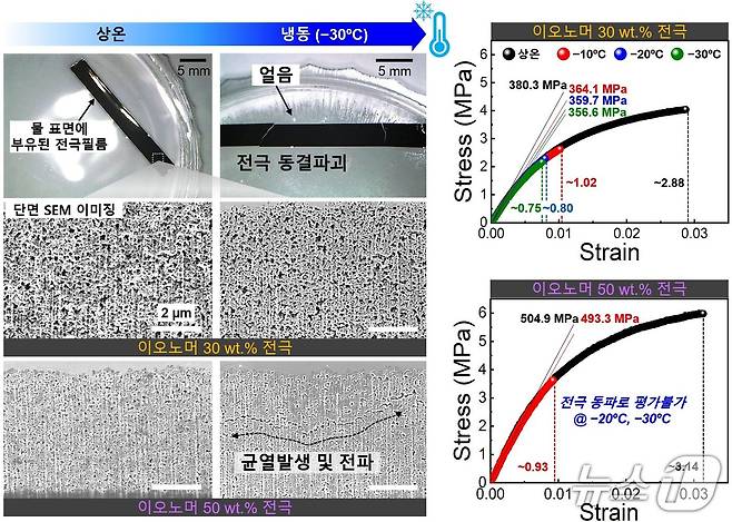 전극 속 이오노머 함량별 동파 현상 관찰 및 이에 따른 기계적 물성 평가(한국연구재단 제공) /뉴스1