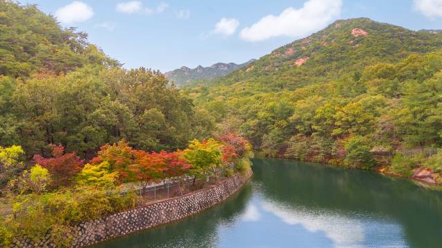 서울대 안양수목원. 사진 제공 = 안양시
