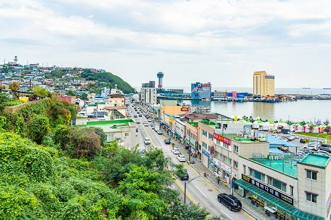 동해 묵호항 풍경
