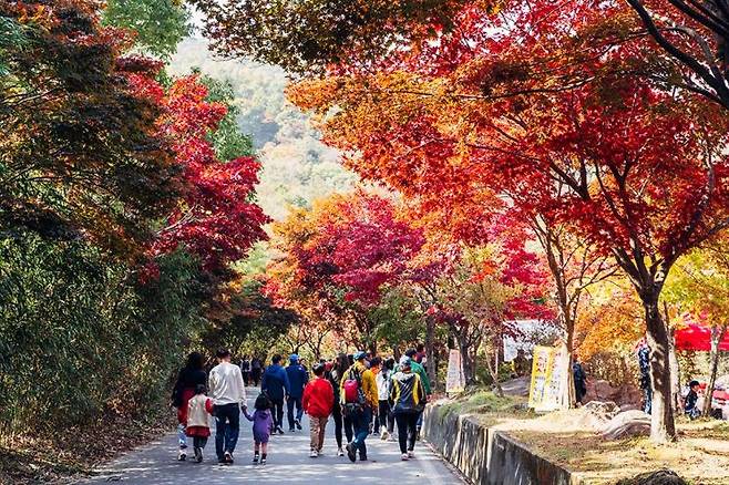 구례 지리산 피아골 전경. 전남도 제공