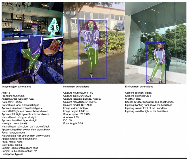 FHIBE에 담긴 다양한 정보 중 한 가지 예시를 보여주는 그림으로 주석을 단 사람의 나이와 대명사, 출신 지역 등을&nbsp;함께 표시했다. 네이처 제공