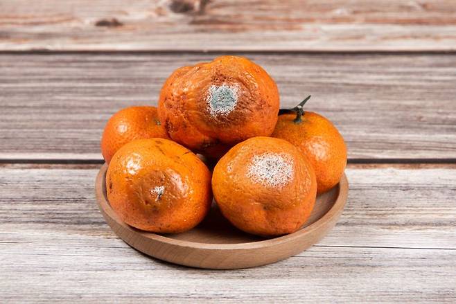 자료사진. 게티이미지뱅크