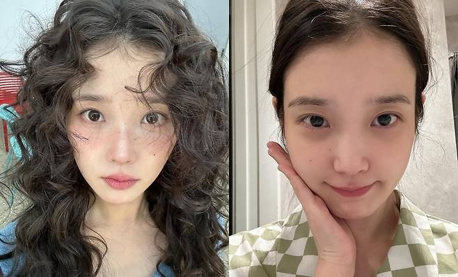 아이유 소셜네트워크서비스 계정