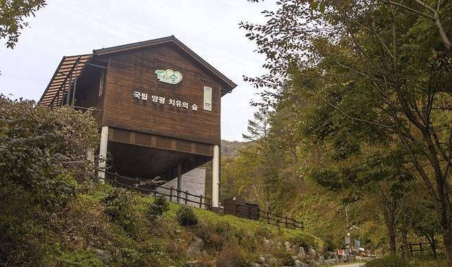 국립양평치유의숲 [경기관광공사 제공. 재판매 및 DB 금지]