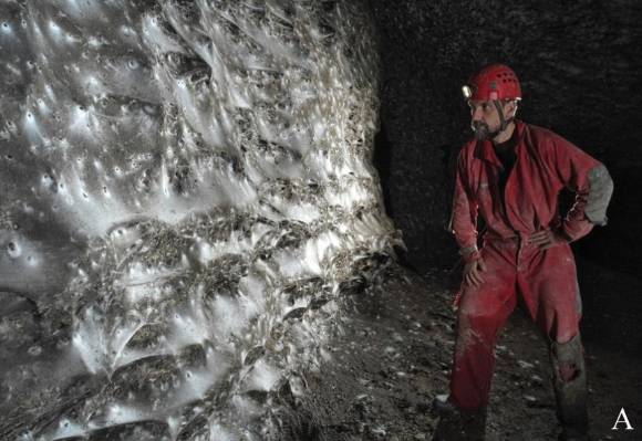 그리스와 알바니아 국경 지대의 한 동굴에서 발견된 거대 거미줄 [사진=지하생물학]