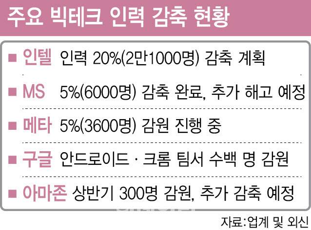 [이데일리 이미나 기자]