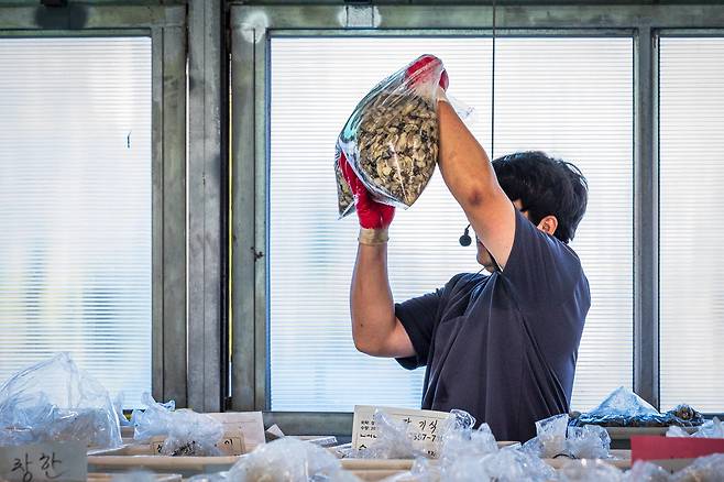 4~5번 세척 작업을 거쳐 경매장으로~. /이건송 영상미디어 기자