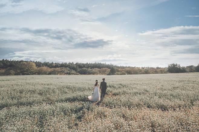 제주 웨딩스냅 체험-메밀 청초밭 (제주관광공사 제공)