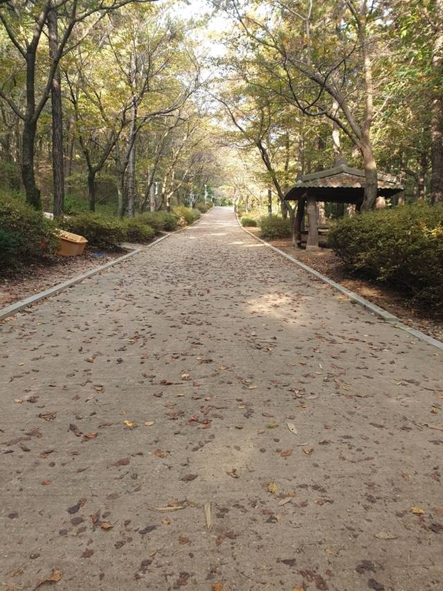 직동근린공원 . 의정부시 제공