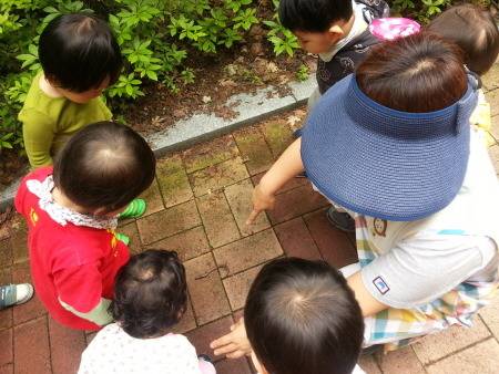 ⓒ아이들이행복한세상