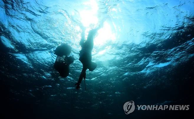 물질하는 제주 해녀 [연합뉴스 자료사진]
