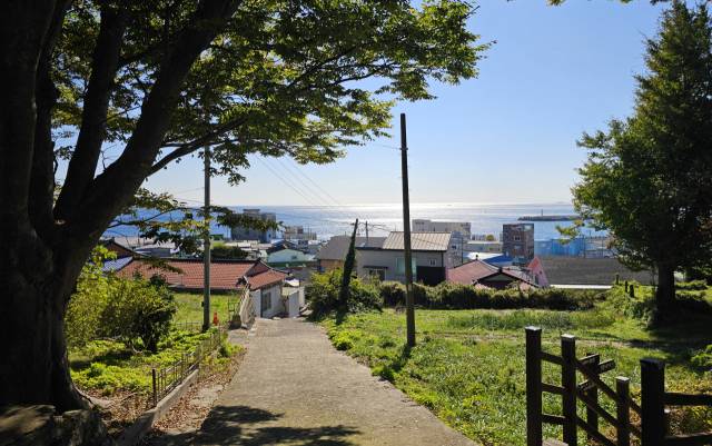 구룡포 공원 언덕마루에 서면 반짝이는 구룡포 바다가 한눈에 들어온다. 넉넉한 바다의 풍경 어딘가에서 용이 승천할 기세다.