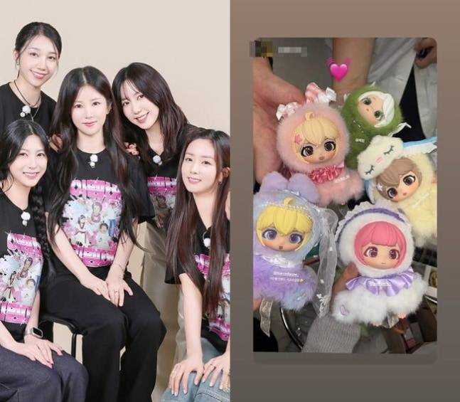 사진|에이핑크·손나은SNS