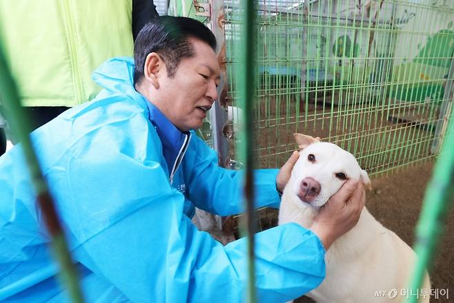 (용인=뉴스1) 김도우 기자 = 정청래 더불어민주당 대표가 9일 용인시 처인구의 한 유기견 보호소를 봉사활동차 방문해 유기견과 인사를 나누고 있다. (공동취재) 2025.11.9/뉴스1 Copyright (C) 뉴스1. All rights reserved. 무단 전재 및 재배포, AI학습 이용 금지. /사진=(용인=뉴스1) 김도우 기자