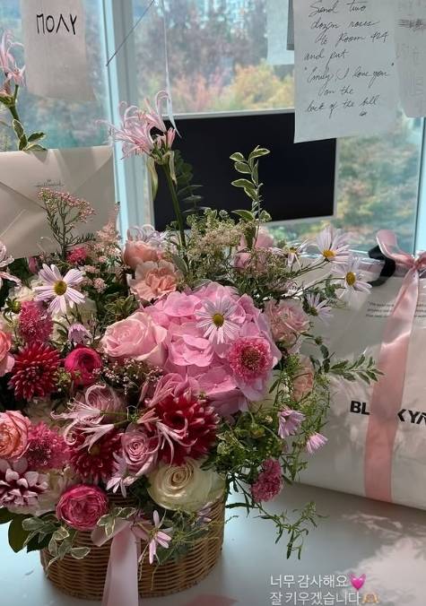 이시영 소셜 미디어