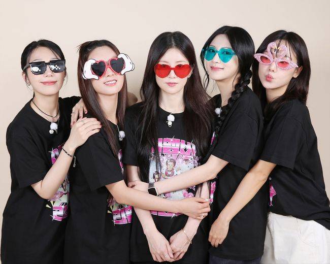 에이핑크 SNS