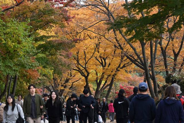완연한 가을 날씨를 보인 9일 서울 중구 남산을 찾은 시민들이 울긋불긋 물든 단풍 아래를 걷고 있다. 조태형 기자 2025.11.09
