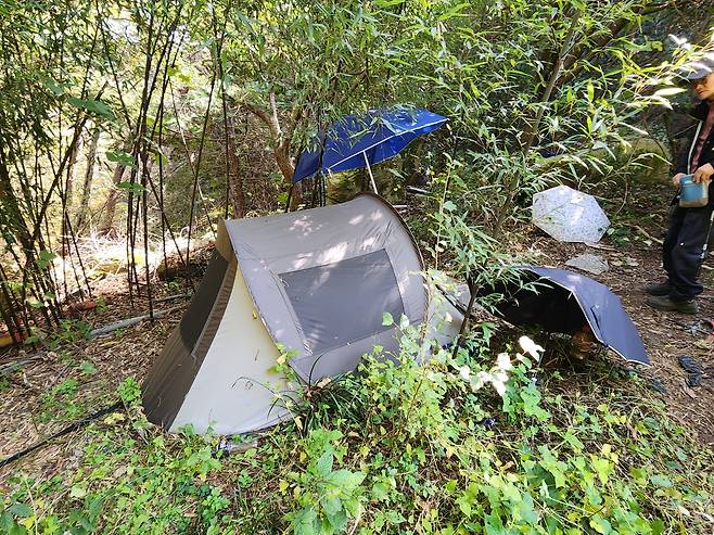 텐트 모습 [차근호 기자]