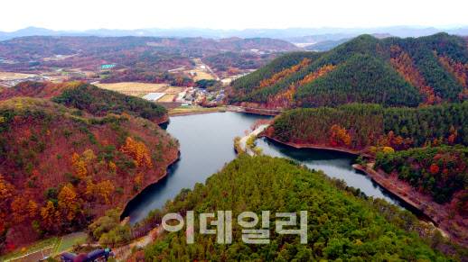 말티재 숲에서 바라본 국립속리산말티재자연휴양림 전경. (사진=국립속리산말티재자연휴양림 제공)